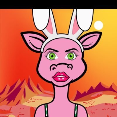 natividad381927's profile picture. BitcoinAgile