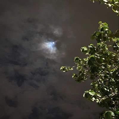 gabiduran066's profile picture. 