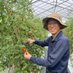とよし🍅株式会社トクイテン代表 (@toyoshi) Twitter profile photo とよし🍅株式会社トクイテン代表 (@toyoshi) Twitter profile photo