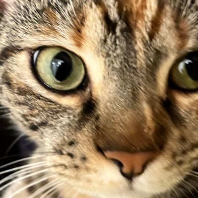 jexcreates's profile picture. 3d + digital designer | ig: jex_creates