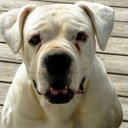 Dawn Holder - @holder23492 - Twitter