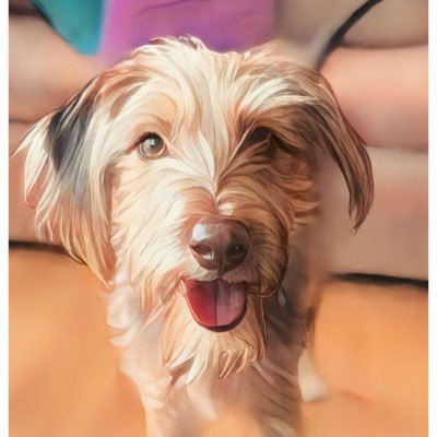 swojciechowskil's profile picture. 