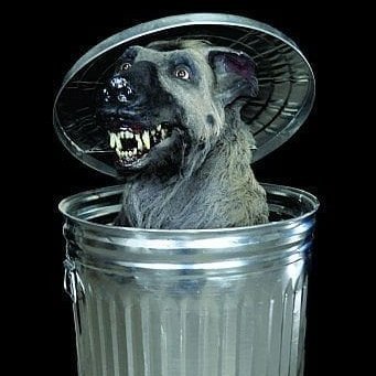 trashpes's profile picture. Spark(it)