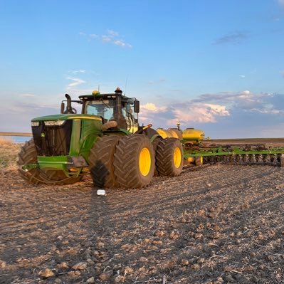 waldner333's profile picture. 