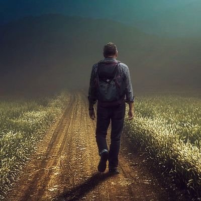 rocheosvaldo's profile picture. 