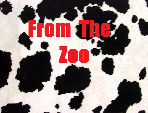From_The_Zoo is the official Twitter page for the pod-cast From The Zoo.