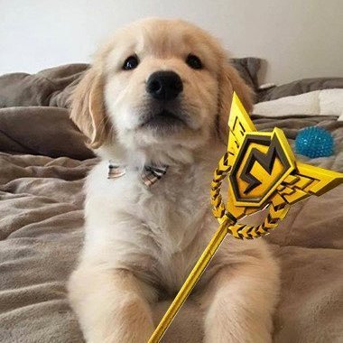 EPorzig's profile picture. 15year old streamer. Grinding for team @TeamAIReu