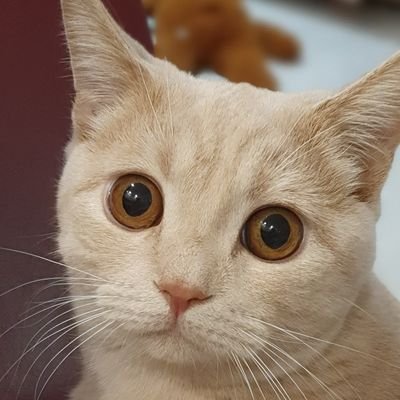 HVtXow1WDZPFJG6's profile picture. 