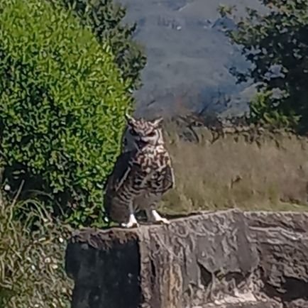 skud78's profile picture. 