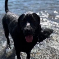 FrTimJHandley (@handlt10) 's Twitter Profile Photo