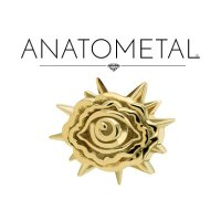 ANATOMETAL(@ANATOMETAL) 's Twitter Profileg