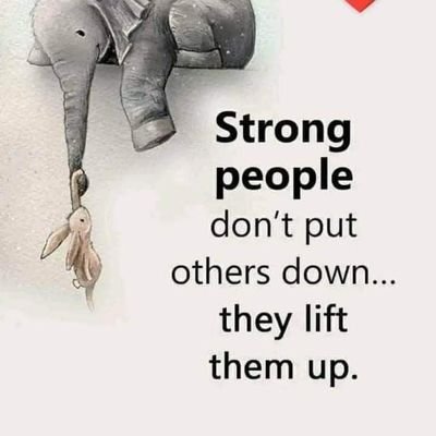 DernaMeow's profile picture. why not