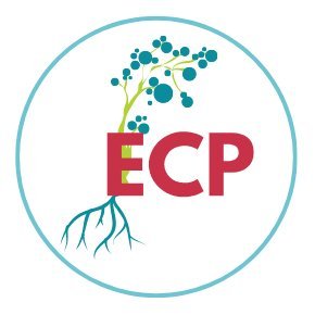 Transforming the assessment of student learning & school quality. ECP supports schools with free and open-source tools.
