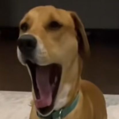 bianni14fnm's profile picture. ex fnm playa🇱🇹