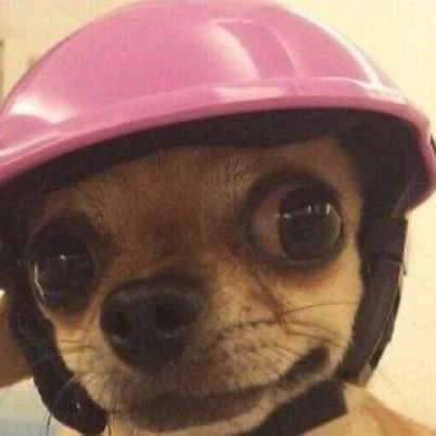 MikeTarakea's profile picture. 🍁Vayolence is a basic need 🎯 2 survive in +254🇰🇪😂💯