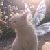 cat lover (@tlenekneonu) Twitter profile photo cat lover (@tlenekneonu) Twitter profile photo