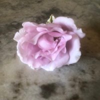 Judy Link (@link141352link) 's Twitter Profile