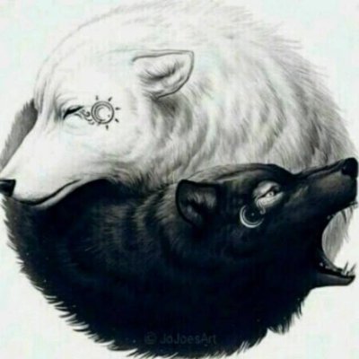 havefuntoday31's profile picture. a vida é mais q só isso