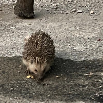 CbGoogl's profile picture. I believe that understanding the world requires listening to many voices,even those I disagree with. I use X to explore diverse perspectives.