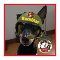 Lt. Colonel Bumbler(@ImRockyTwo) 's Twitter Profileg