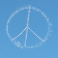 Renee (@renee1528) 's Twitter Profile