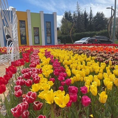 mohammad4260416's profile picture. 