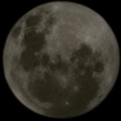 bo0b5for1if3's profile picture. he/him •  Taken • NSFW/shitposts • MDNI