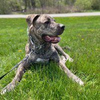 bruceperrott43 (@bruciefruit) 's Twitter Profile