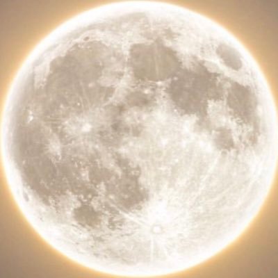 trk_exe's profile picture. Tarik I 24