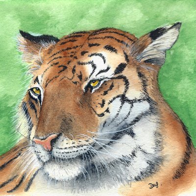 Donna M. Strachanさんのプロフィール画像