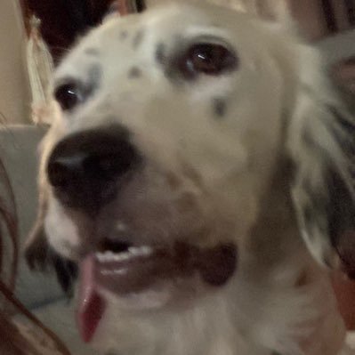 PaolaParker's profile picture. ENFJ-T ~ she/her ~ (Bi)en maricona☾ sometimes life’s a bitch and you keep living