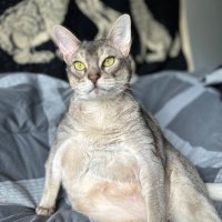 Jlive (@jaytheist) 's Twitter Profile