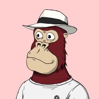 A Chilled Kong (@kong5884) 's Twitter Profile