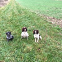 Rupert Hoare (@farmerrups) 's Twitter Profile Photo