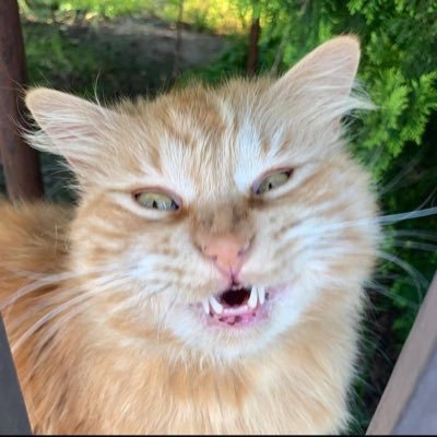 duken_simo's profile picture. 