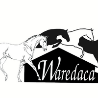 Waredaca Events (@waredaca) 's Twitter Profile