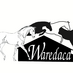 Waredaca Events (@waredaca) Twitter profile photo Waredaca Events (@waredaca) Twitter profile photo