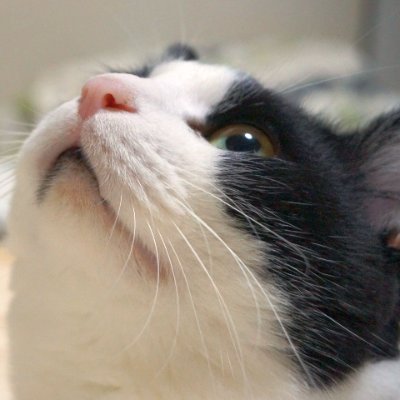 Hima_Art_WP's profile picture. ◆誰かの役に立つかもしれないWordPressカスタマイズ情報、サイトの更新情報などを発信します。
◆自身打ち込んでいた経験のあるスポーツ、特に卓球に関する情報も発信します。
#WordPress #ワードプレス #卓球