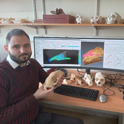 Postdoctoral researcher in paleophysiology and functional evolution. Paleontology area of University of Malaga.