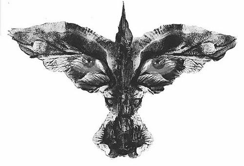 RoyseyeR's profile picture. what doesn't kill me makes me stronger