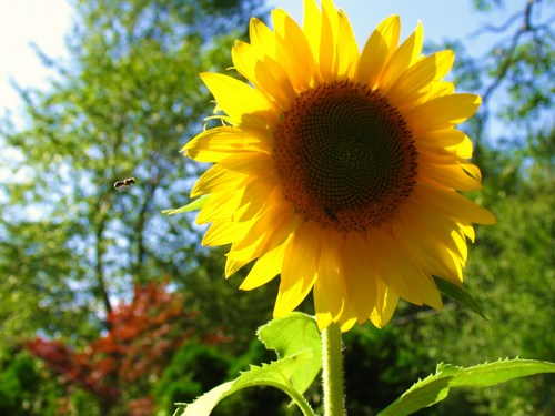 Sandra_Enos's profile picture. 