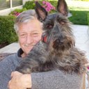 Daniel miceli - @Danielmiceli18 - Twitter