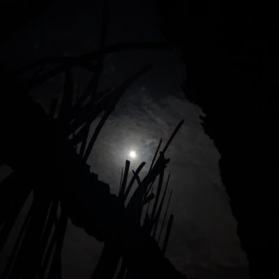 Turkii958's profile picture. …