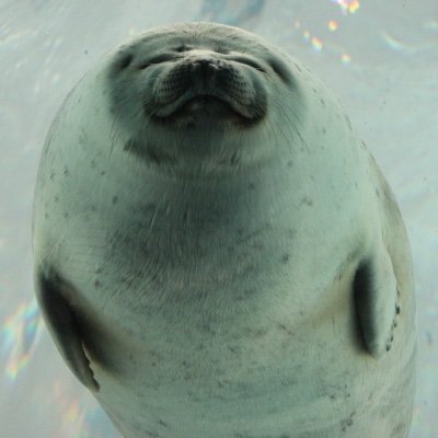 💡Daríoさんのプロフィール画像