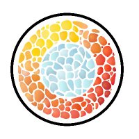 KabrajiLab (@kabrajilab) 's Twitter Profile Photo