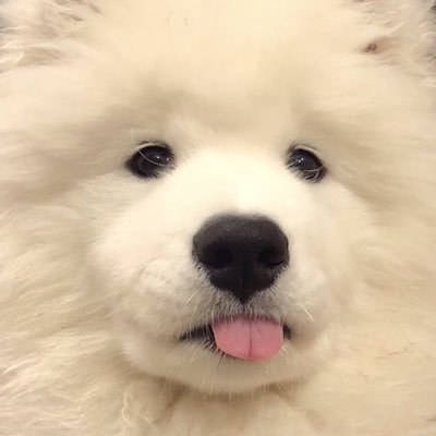 𝐧𝐱𝐱. #TASTEさんのプロフィール画像