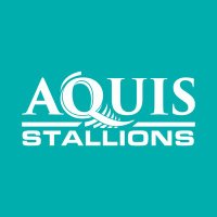 Aquis Stallions(@AquisFarm) 's Twitter Profile Photo