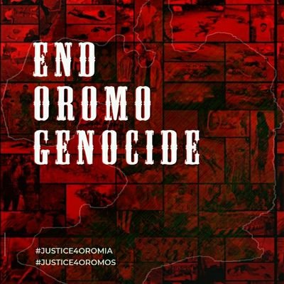 AnolefCalanqo's profile picture. #WeSupportOLA