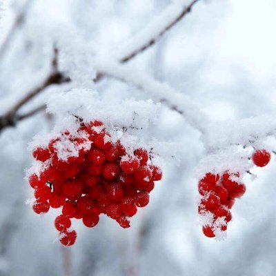 喜欢雪花的冰清玉洁，一起传播人间正能量❗❗❗诚信互FO 💯💯💯💯必回