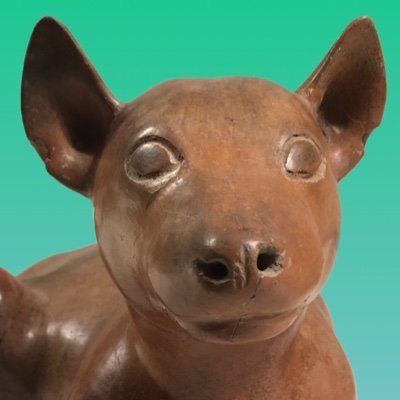 TheColimaDog Profile Picture